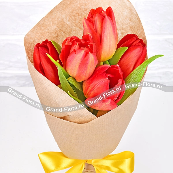 Струны любви - букет из 5 красных тюльпанов